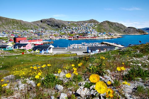 summer in Greenland